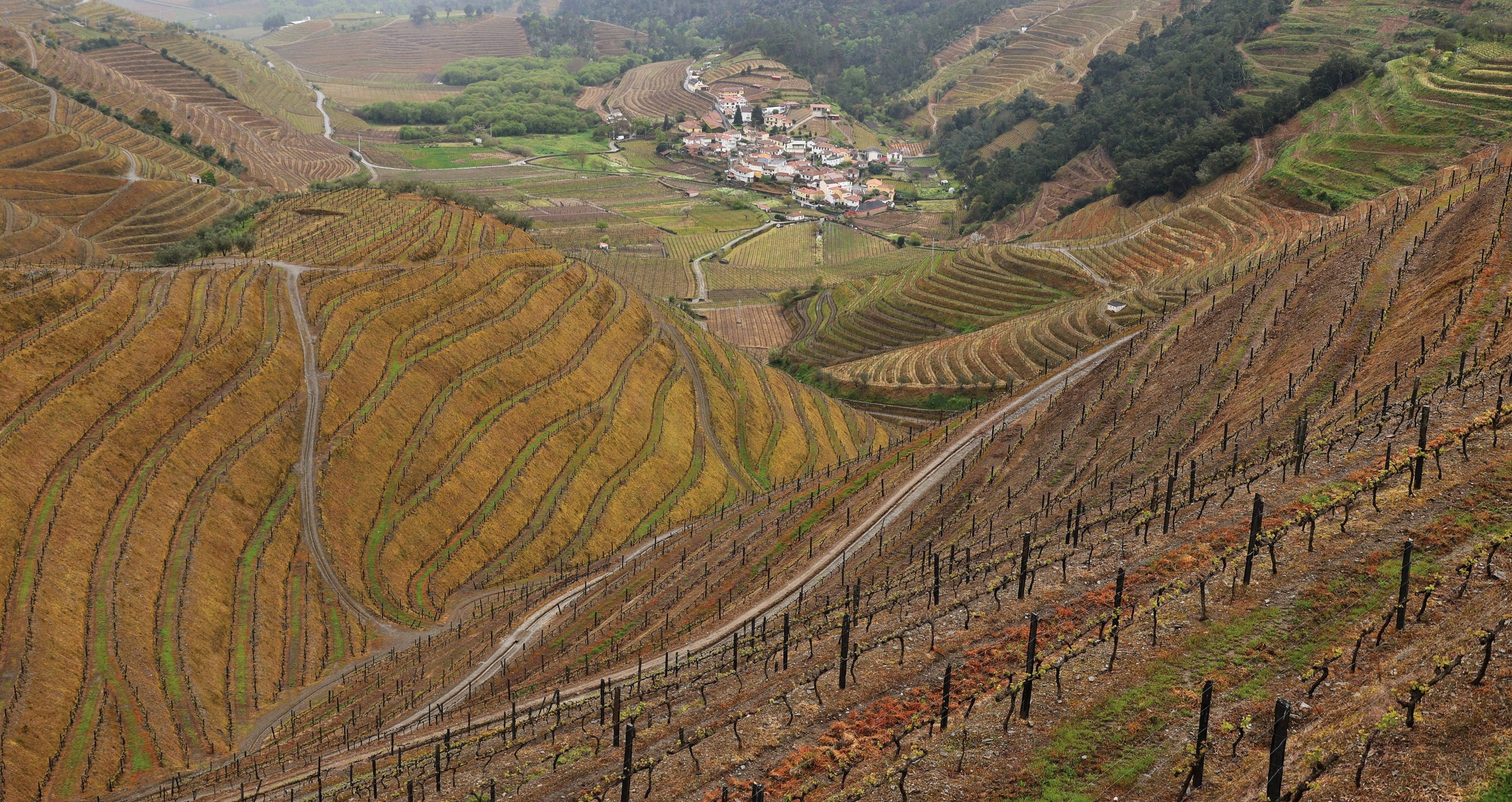 Douro